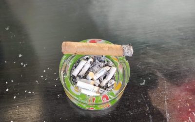 That Silly Little Girl