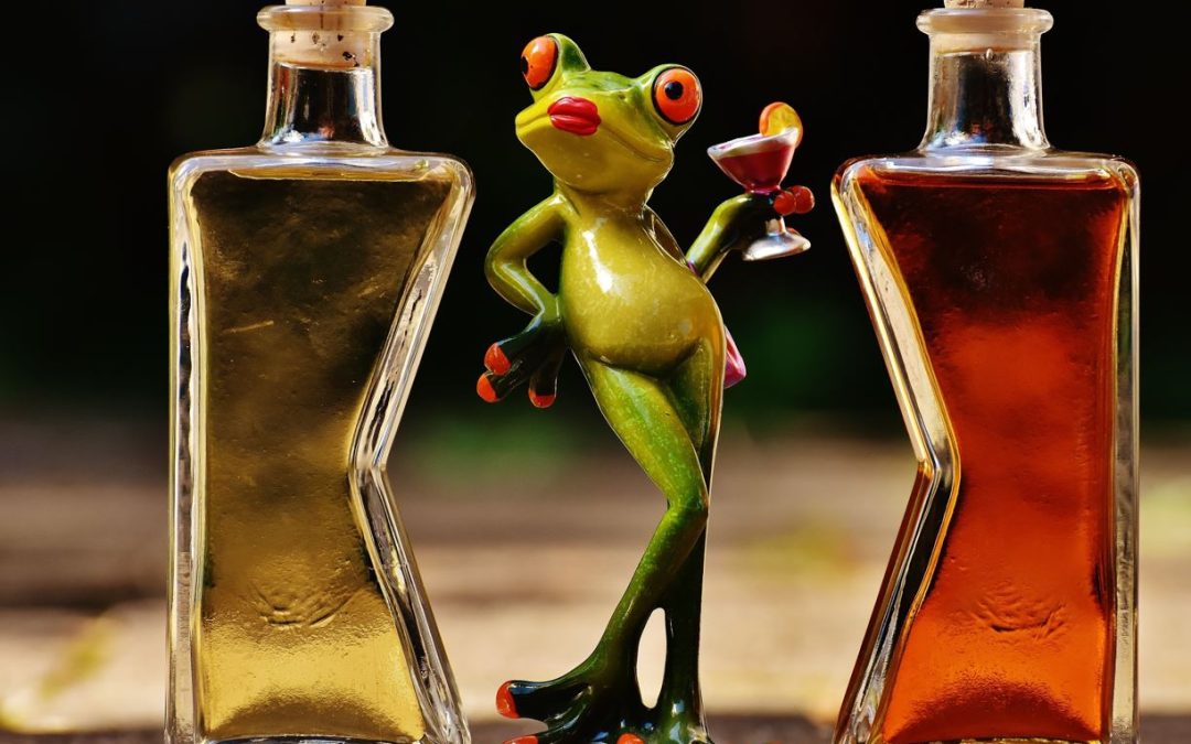 What a drink with a governor taught me about dreams