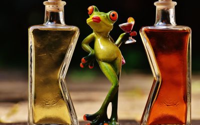 What a drink with a governor taught me about dreams