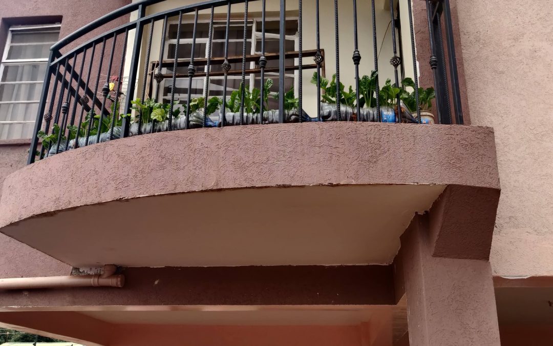 Every Tongue Shall Confess